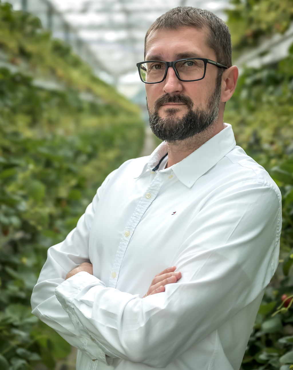 Marcin Poliwka